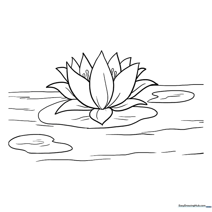 Lotus Flower Coloring Sheet