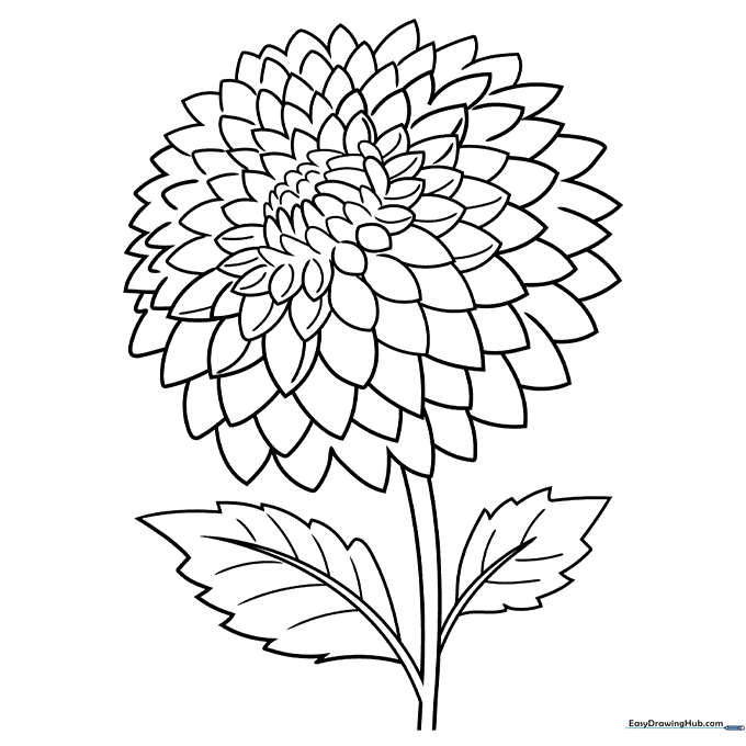 Dahlia Coloring Sheet
