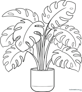 Black and white line art of a potted Swiss Cheese Plant with characteristic fenestrations in the leaves, ready for coloring.