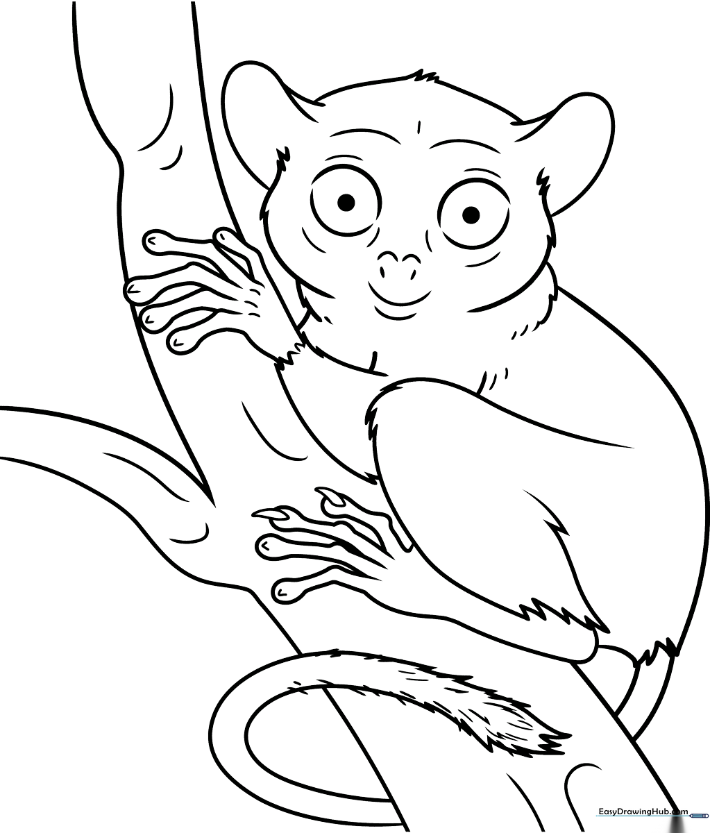 Black and white line art of a cute tarsier with large, expressive eyes, designed for children to color.