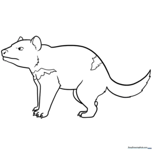 Black and white line art of a friendly cartoon Tasmanian Devil with large ears and a wide smile, ready for coloring.