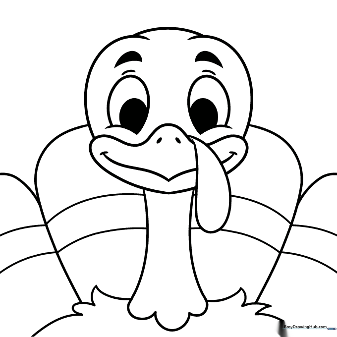 Turkey Face Close-Up