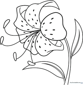 Black and white line art of a Tiger Lily flower with distinct petals and leaves, designed for children to color.