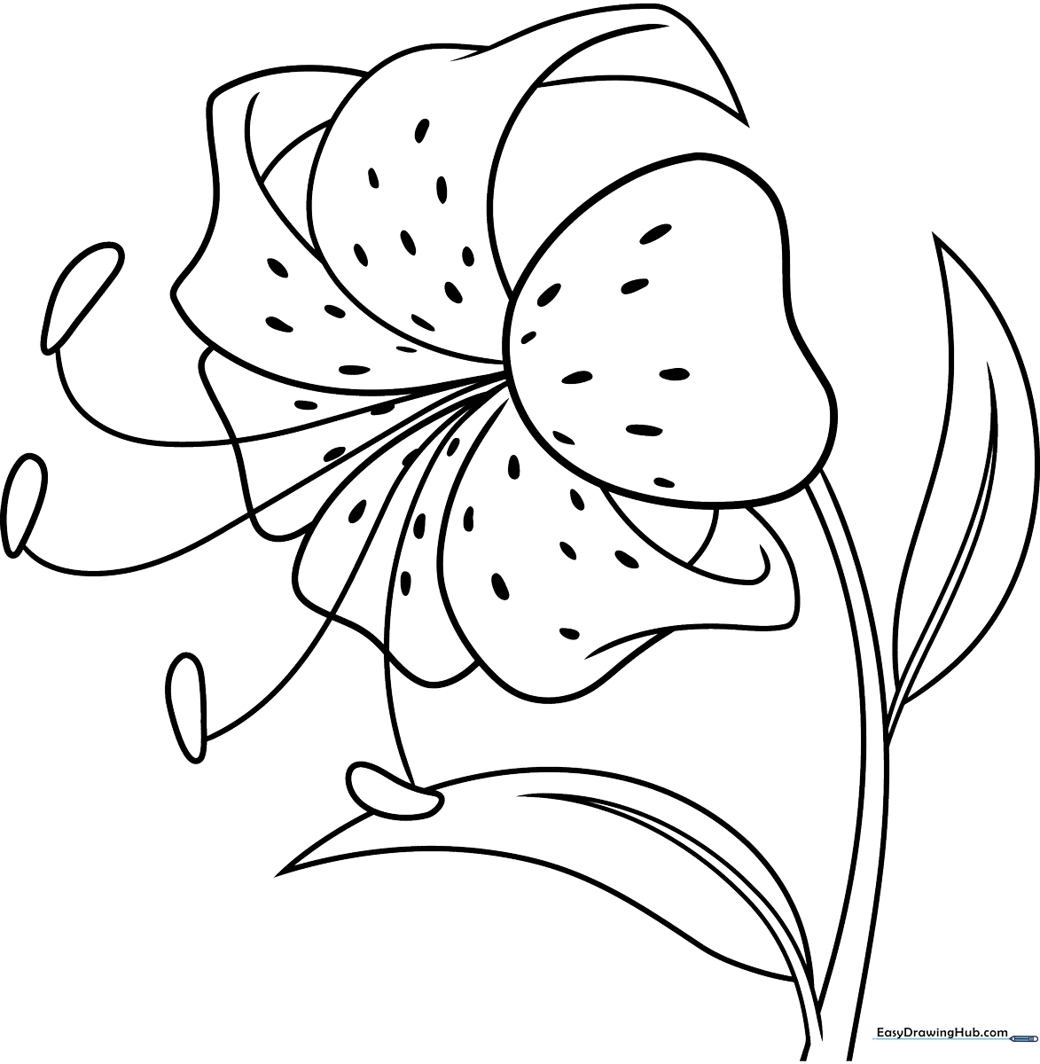 Black and white line art of a Tiger Lily flower with distinct petals and leaves, designed for children to color.