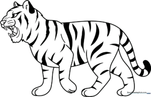 Black and white line art of a tiger with its mouth open in a roar, featuring clear outlines for easy coloring by children.