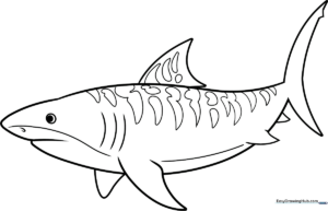 A friendly cartoon tiger shark with distinct stripes, swimming in an open composition, ready for coloring with crayons or markers.