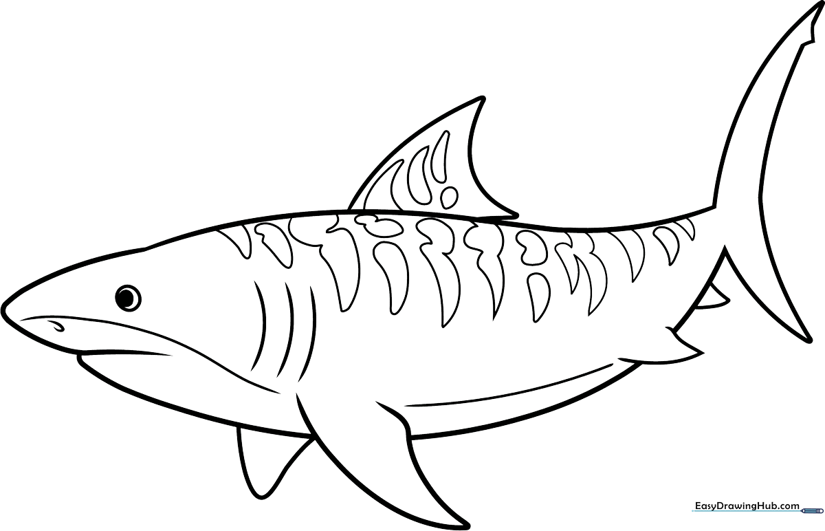 A friendly cartoon tiger shark with distinct stripes, swimming in an open composition, ready for coloring with crayons or markers.