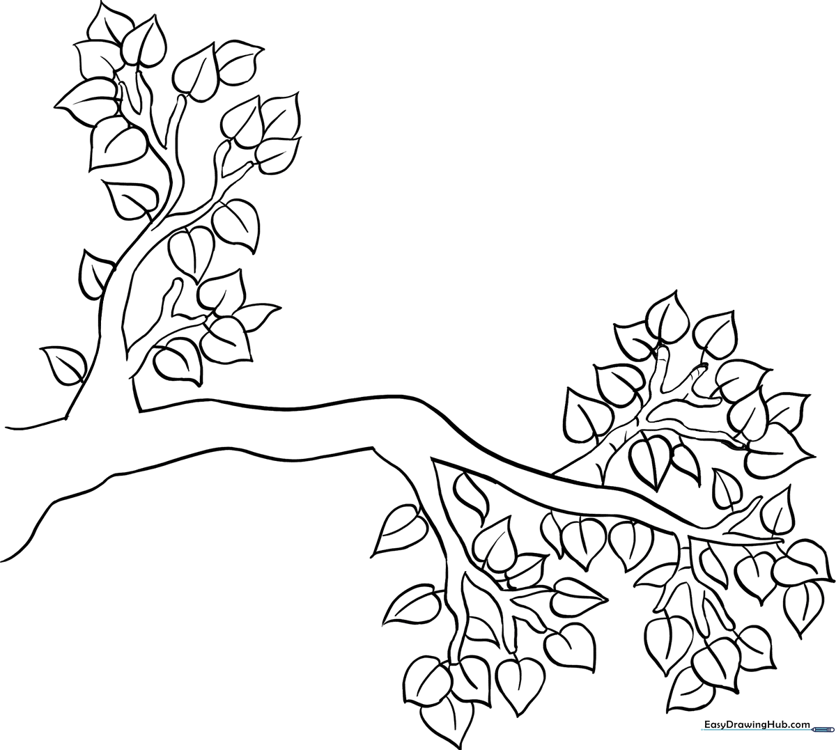 Black and white line art of a sturdy tree branch with simple leaves, designed for children to color with markers or crayons.