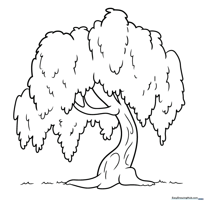 Willow Tree Coloring Sheet