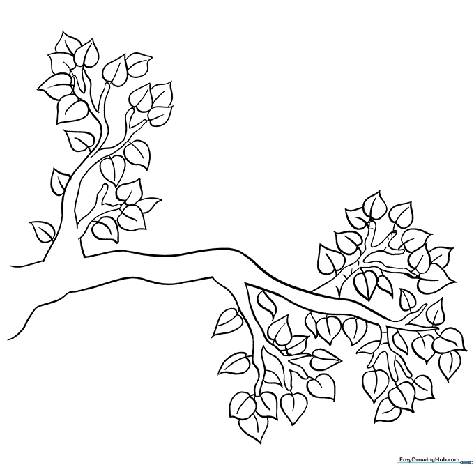 Tree Branch Coloring Sheet