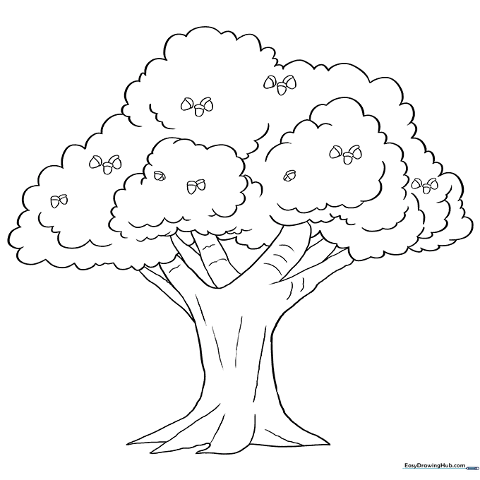 Oak Tree Coloring Sheet