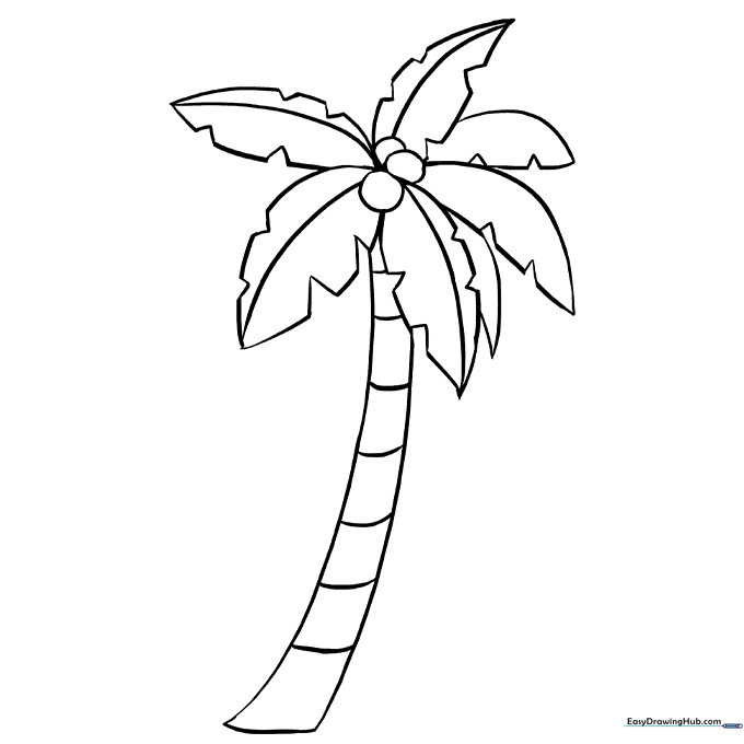 Palm Tree Coloring Sheet