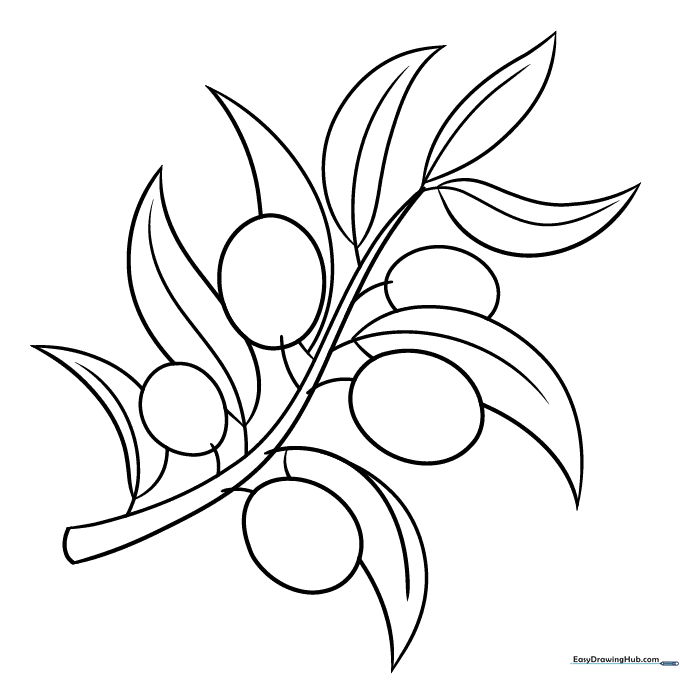 Olive Branch Coloring Sheet
