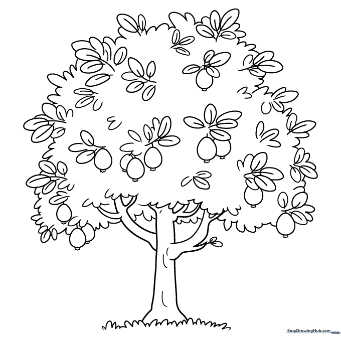 Guava Tree Coloring Sheet