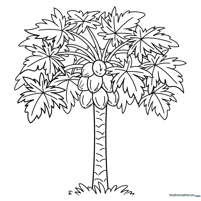 Papaya Tree Coloring Sheet