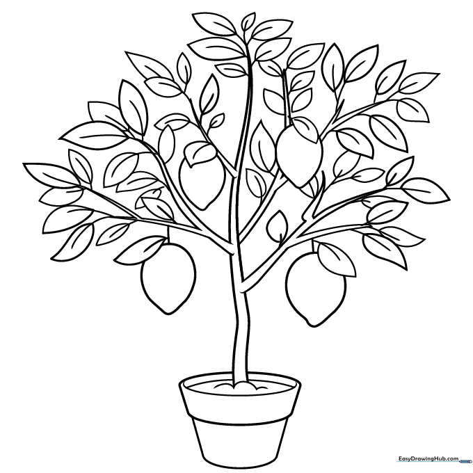 Lemon Tree Coloring Sheet