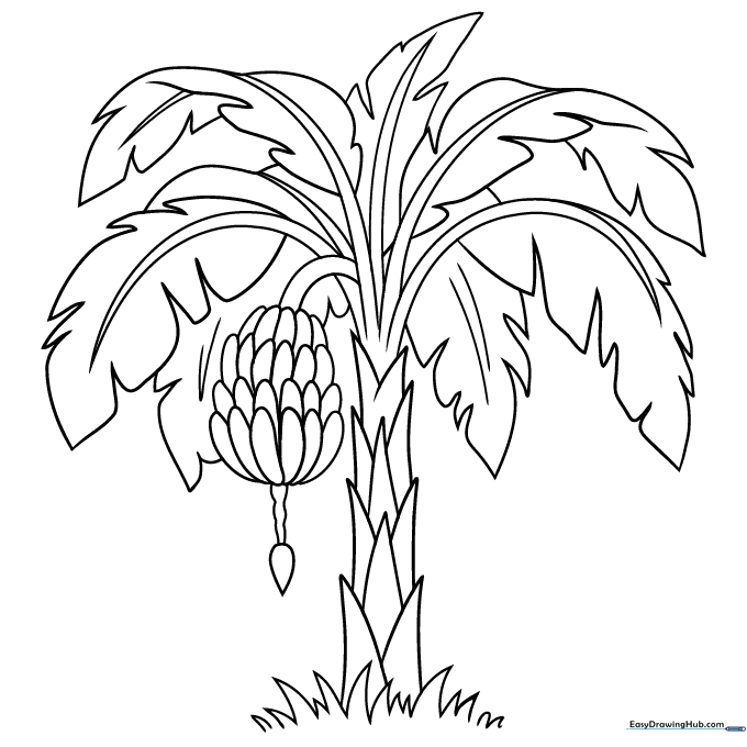 Banana Tree Coloring Sheet