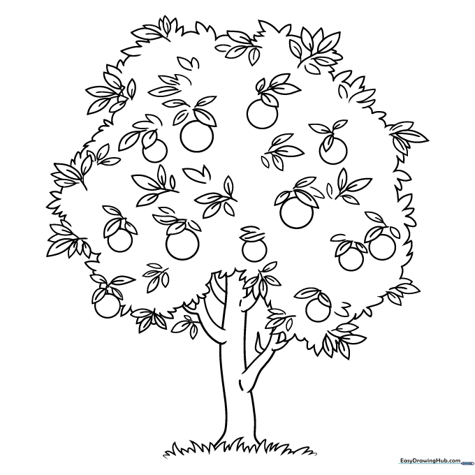 Orange Tree Coloring Sheet