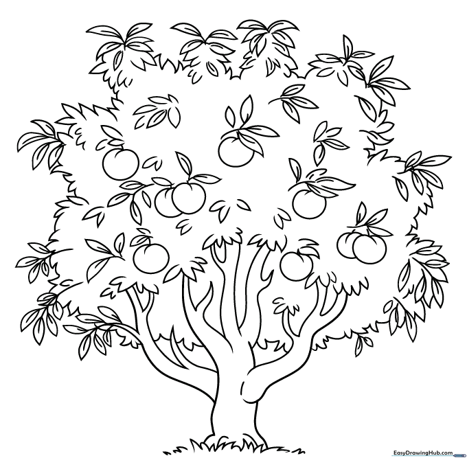 Peach Tree Coloring Sheet