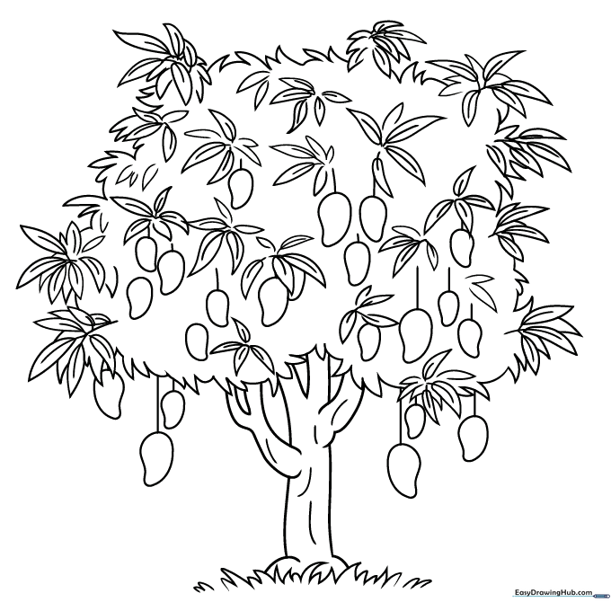 Mango Tree Coloring Sheet