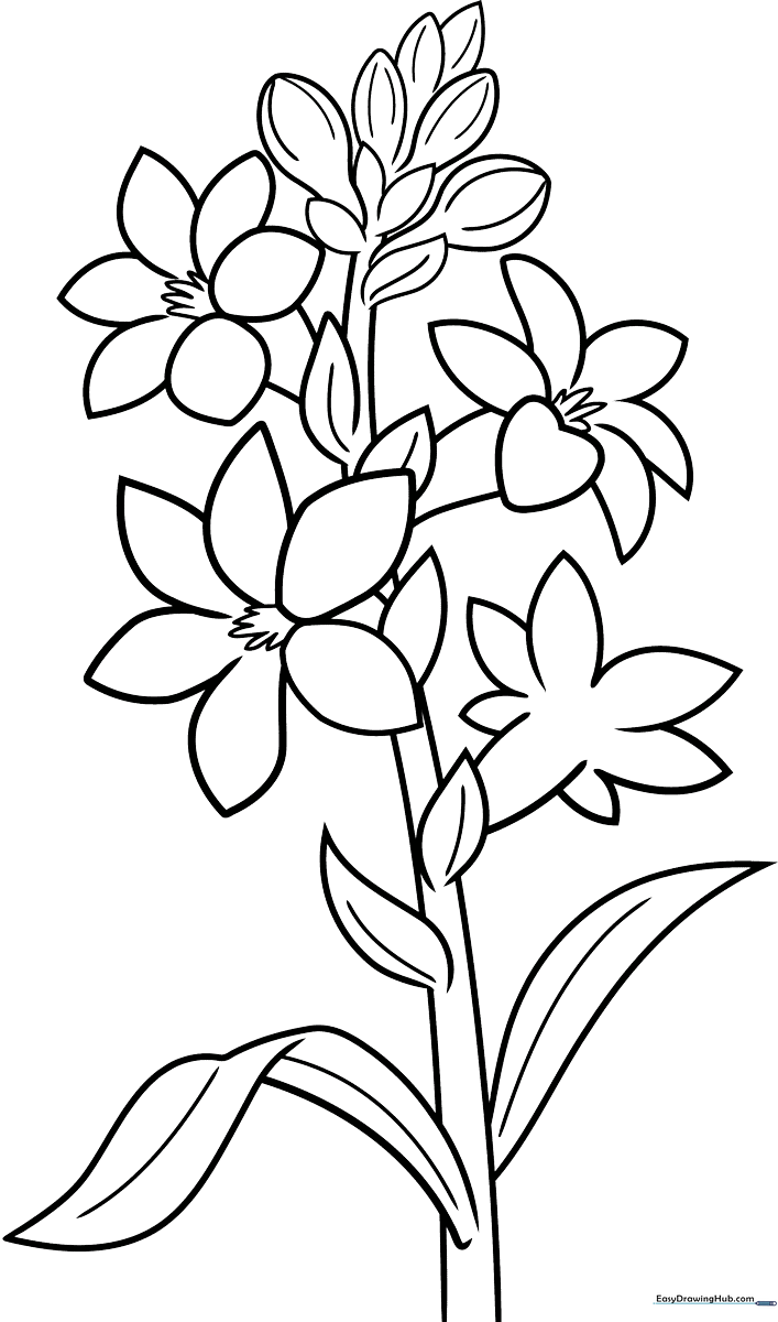 Black and white line art of a Tuberose flower with multiple budding blossoms, designed for children to color with markers or pencils.