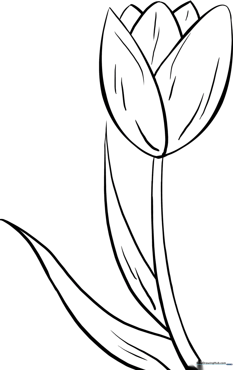 Black and white line art of a single tulip with two leaves, designed for children to color with crayons or markers.