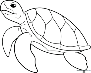 Black and white line art of a friendly cartoon turtle with a patterned shell, designed for children to color.