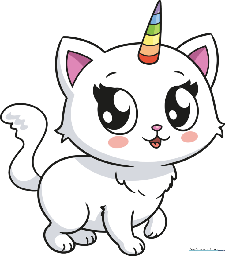 Cute Unicorn Cat