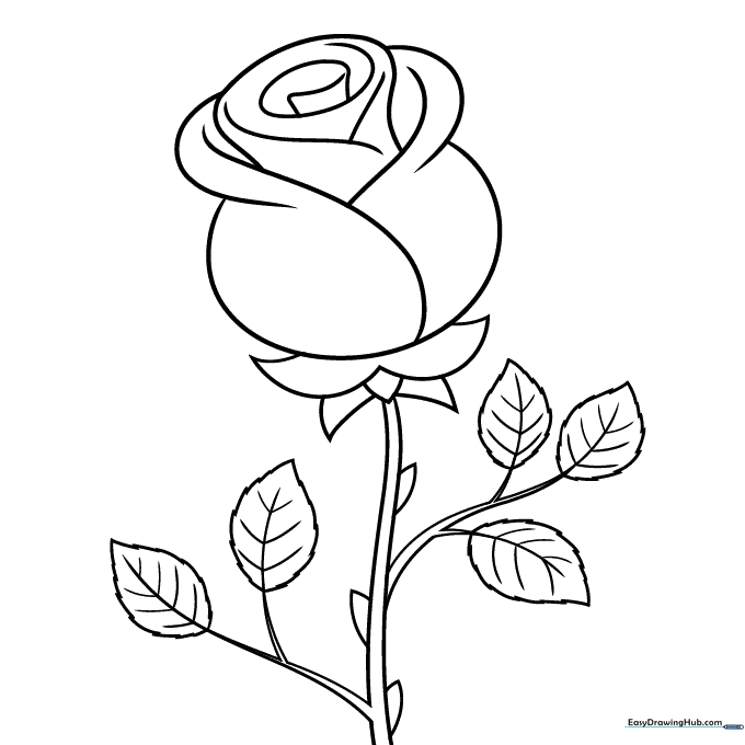 Easy Valentine's Day Rose Coloring Sheet
