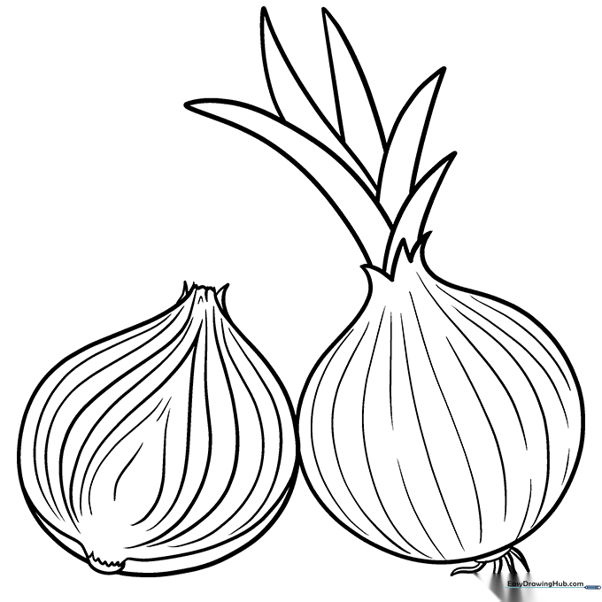 Onion Coloring Sheet