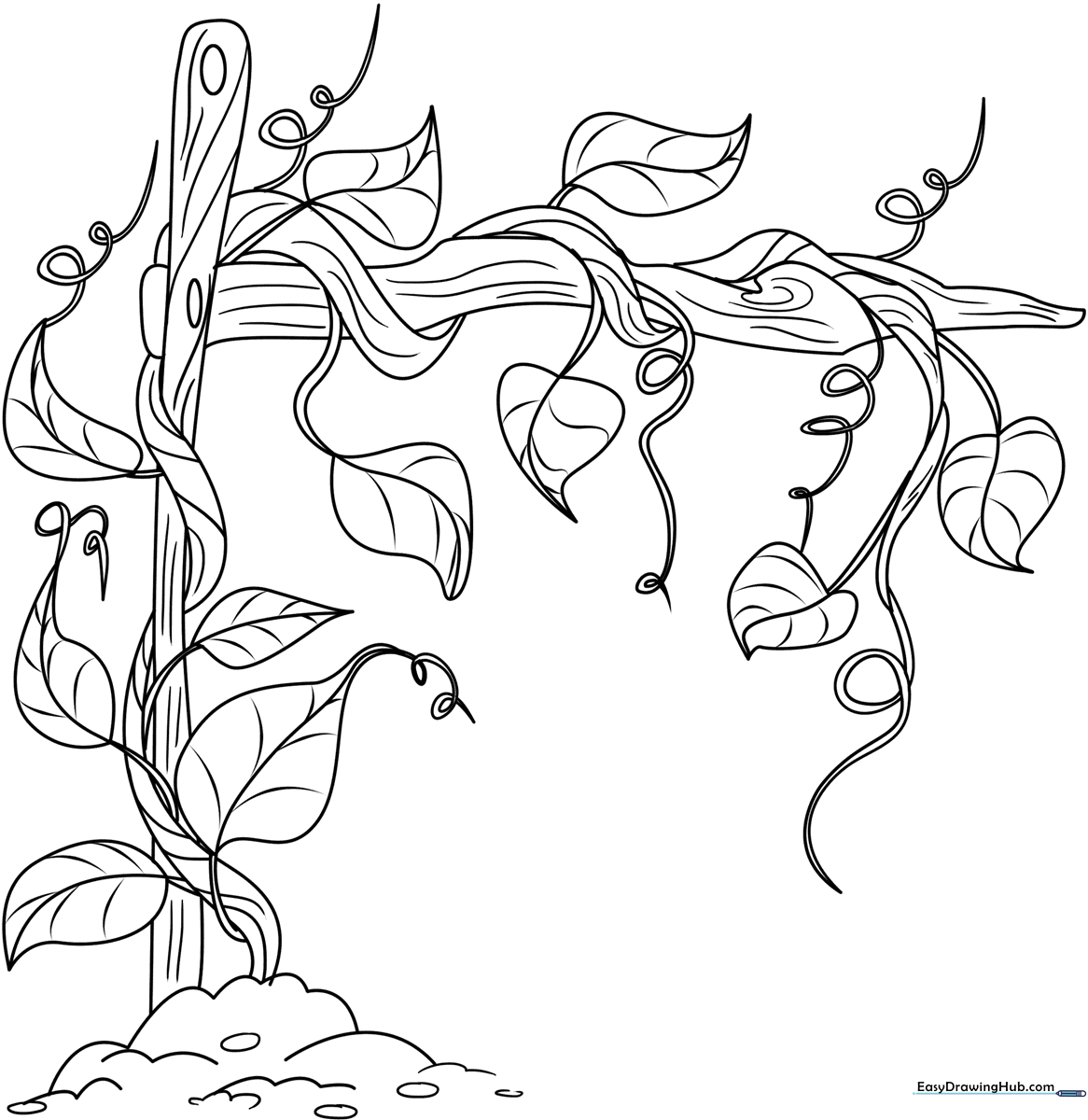 Black and white line art of winding botanical vines with broad leaves, optimized for children to color with markers or crayons.