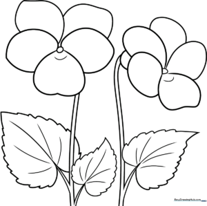 Black and white line art of a cluster of violets with heart-shaped leaves, designed for children to color with markers or crayons.