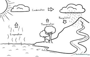 Educational water cycle diagram featuring clouds, rain, and a landscape for children to color and label during science lessons.
