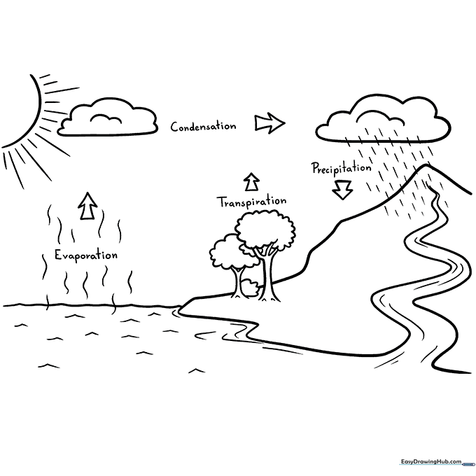 Water Cycle Coloring Sheet