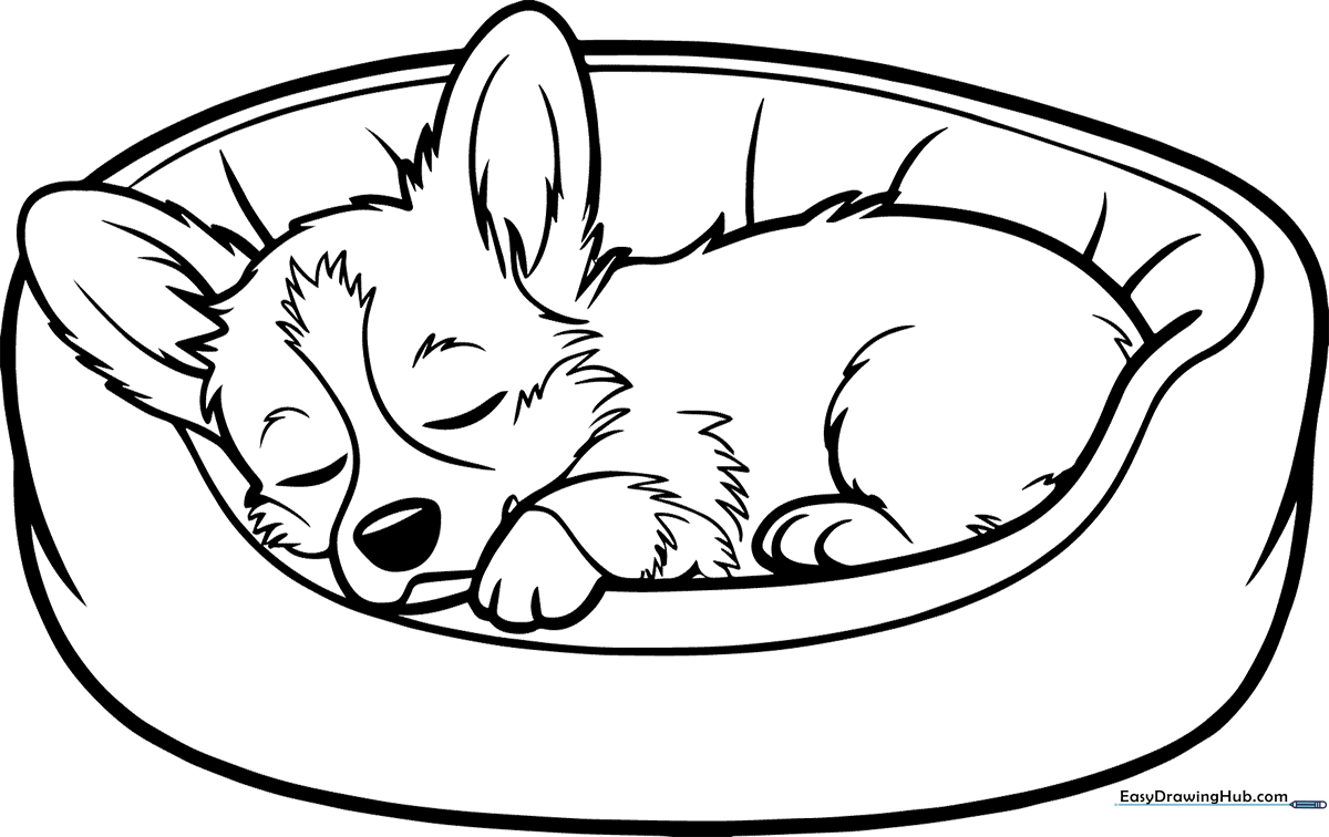 Black and white line art of a curled-up Welsh Corgi puppy sleeping, featuring clear outlines for easy coloring by children.