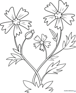 A clean, black-and-white line art illustration of a wild flower with delicate petals and leaves, designed for children to color.