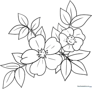 Black and white line art of a wild rose with five petals and detailed leaves, designed for children to color.
