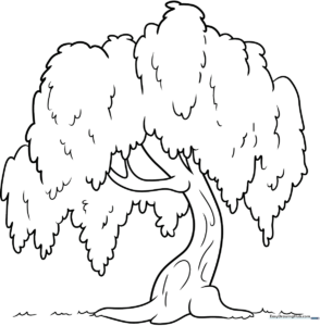 Black and white line art of a weeping willow tree with long, drooping branches and a textured trunk, ready for coloring.