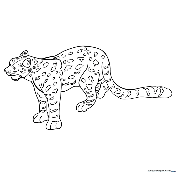 Majestic Snow Leopard