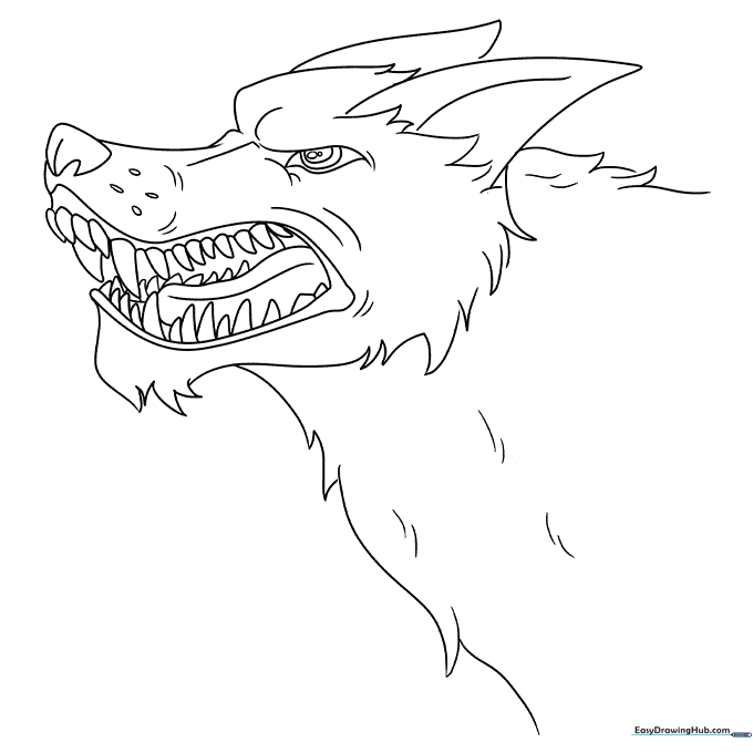 Snarling Wolf