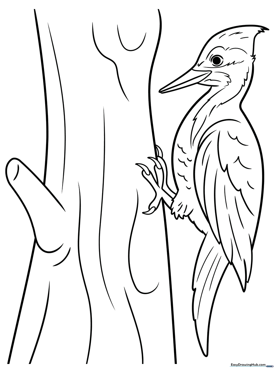 A friendly cartoon woodpecker with bold outlines, designed for children to color, featuring large eyes and a prominent beak.
