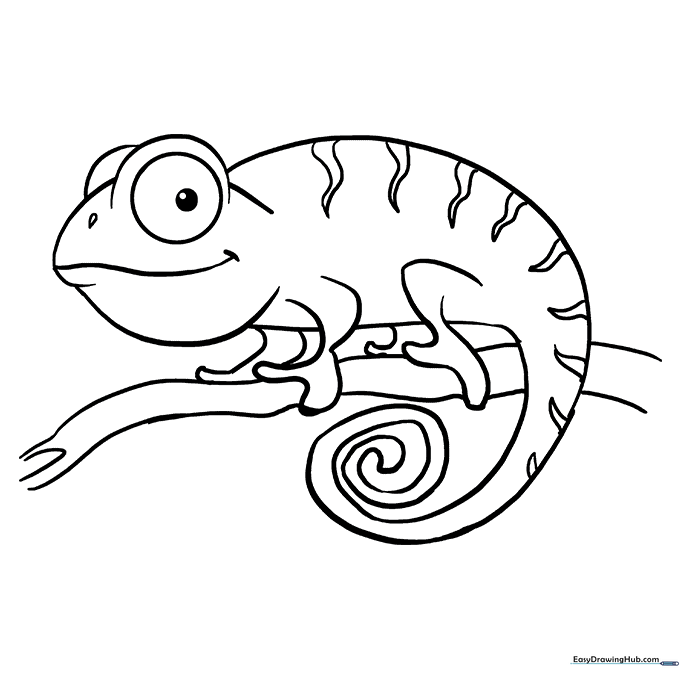 Chameleon Coloring Sheet