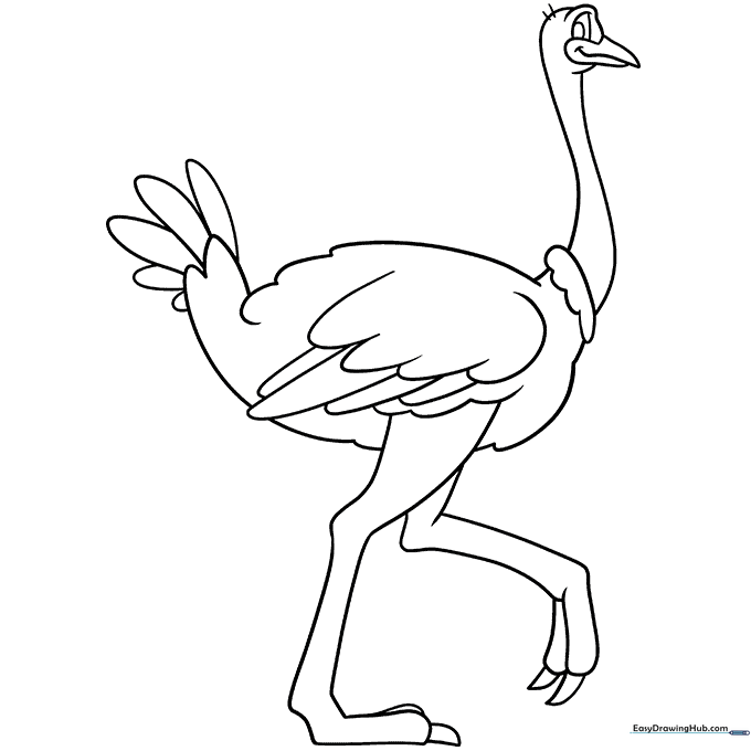 Ostrich Coloring Sheet