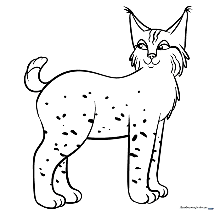 Bobcat Coloring Sheet