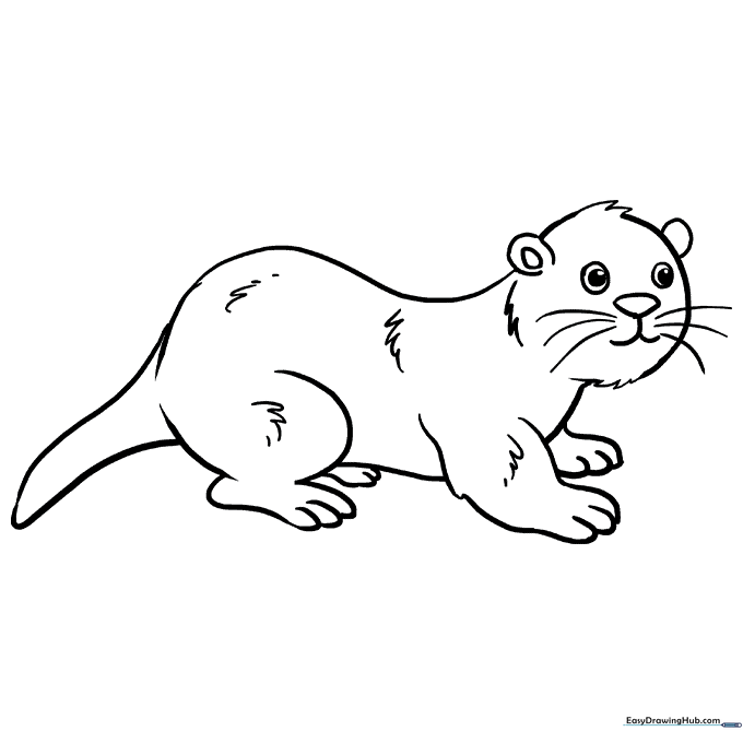 Otter Coloring Sheet