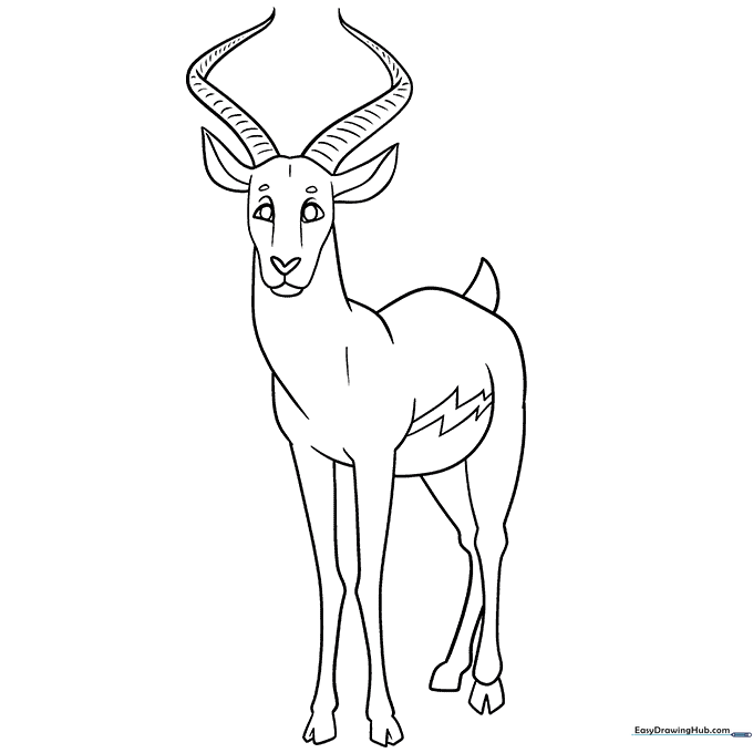 Antelope Coloring Sheet