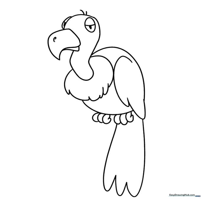 Vulture Coloring Sheet