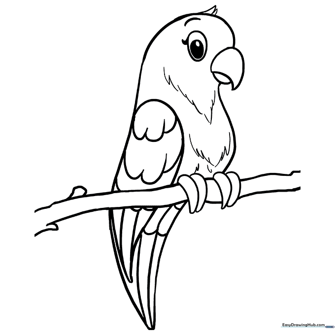 Parrot