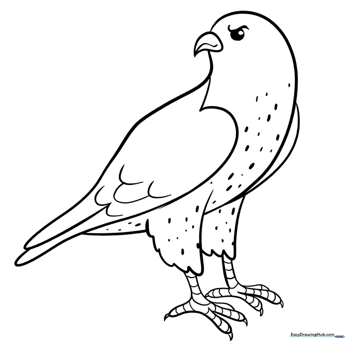 Falcon