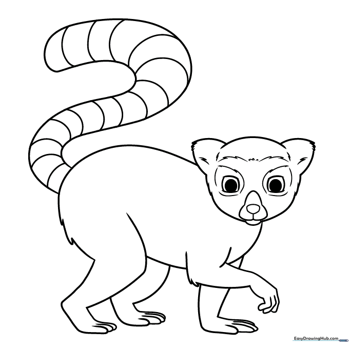 Lemur